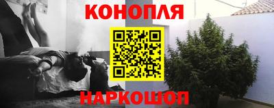 трава Моздок
