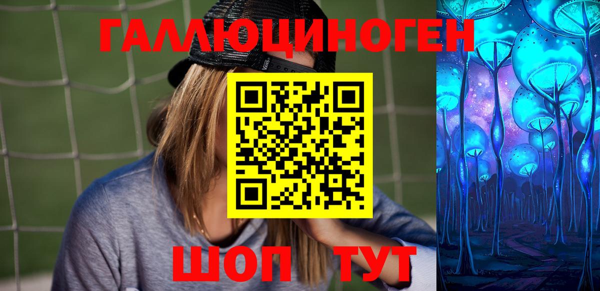 Псилоцибиновые грибы Psilocybine cubensis Узловая
