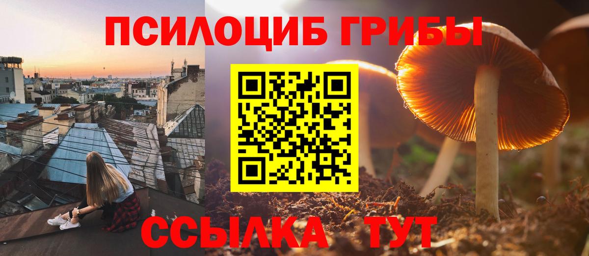 Узловая  Псилоцибиновые грибы мухоморы  Вход с VPN 